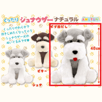 【B.ボブ舌出し】くったりシュナウザーナチュラルＢＩＧ