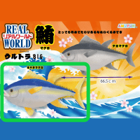 【B.キハダマグロ】リアルワールドマグロウルトラBIG