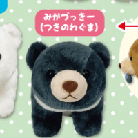 【C.みかづっきー（つきのわぐま）】どっちりクマちゃん