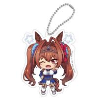 【B.ダイワスカーレット 】ウマ娘 プリティーダービー アクリルプレートキーホルダー〜ウイニングライブver.〜vol.3