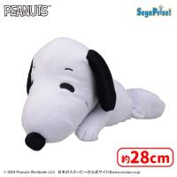 【A.スヌーピー】SNOOPY™　[SP]チャーリー・ブラウンと仲良しぬいぐるみ