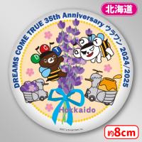 【A.北海道】＜セガUFO限定＞DREAMS COME TRUE ドリカム 35th Anniversary ウラワン　缶バッジ