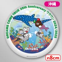 【J.沖縄】＜セガUFO限定＞DREAMS COME TRUE ドリカム 35th Anniversary ウラワン　缶バッジ