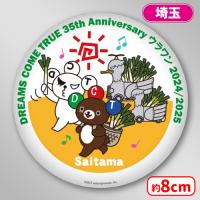 【C.埼玉】＜セガUFO限定＞DREAMS COME TRUE ドリカム 35th Anniversary ウラワン　缶バッジ