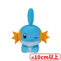 【B.ミズゴロウ】ポケットモンスター くつろぎタイムぬいぐるみ〜ヤドン・ミズゴロウ・マホイップ（ルビーミックス）〜