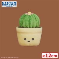 【D.玉サボテン】FANS 観葉植物ミニぬいぐるみ