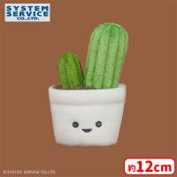【C.柱サボテン】FANS 観葉植物ミニぬいぐるみ