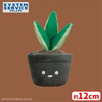【B.サンスベリア】FANS 観葉植物ミニぬいぐるみ