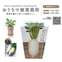 【A.だいこん】おうちで根野菜栽培キット