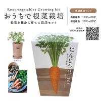 【C.にんじん】おうちで根野菜栽培キット