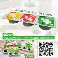 【B.ミント×タイム×バジル】エコポケット3連セット
