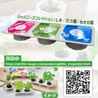 【A.シソ×ミツバ×ワサビナ】エコポケット3連セット