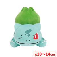 【A.フシギダネ】ポケットモンスター くつろぎタイムぬいぐるみ〜フシギダネ・チェリンボ・キバゴ〜