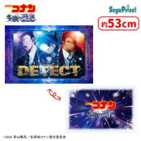【B.DETECTビジュアル】劇場版「名探偵コナン 隻眼の残像（せきがんのフラッシュバック）」　[PtZ]アートクッション