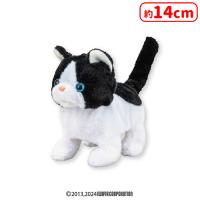 【A.ハチワレねこ（くろ）】 とことこ歩いてニャーニャー鳴く子猫たち