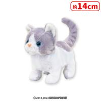 【B.ハチワレねこ（グレー）】 とことこ歩いてニャーニャー鳴く子猫たち
