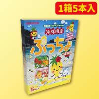 沖縄限定 ぷっちょパイナップル ※賞味期限：2025/12/31