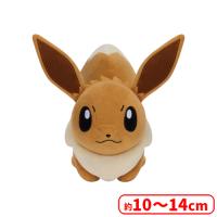 【A.イーブイ】ポケットモンスター ぬいぐるみ〜イーブイ・オタチ・ヒメグマ〜
