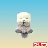 【C.らむ】うきうきらっこべいびーJB