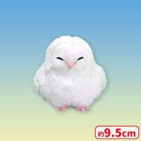 【B.ゆめたん】メンフクロウのめめたんLMC