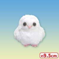 【A.めめたん】メンフクロウのめめたんLMC