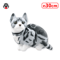 なんだニャ？猫ちゃんぬいぐるみ | オンラインクレーンゲーム「セガUFO
