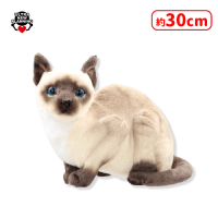 なんだニャ？猫ちゃんぬいぐるみ | オンラインクレーンゲーム「セガUFO