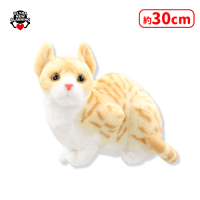 なんだニャ？猫ちゃんぬいぐるみ | オンラインクレーンゲーム「セガUFO
