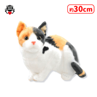 なんだニャ？猫ちゃんぬいぐるみ | オンラインクレーンゲーム「セガUFO