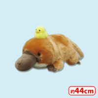 はしっこかものはしおさんぽJB | オンラインクレーンゲーム「セガUFO