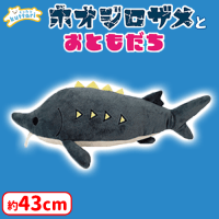 くったりホオジロザメ くったりホオジロザメ レア サンプル含 ST LMC