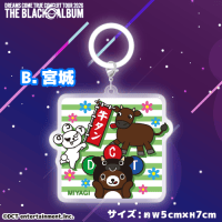 セガUFO限定＞DREAMS COME TRUE ドリカム CONCERT TOUR 2026 めじるし