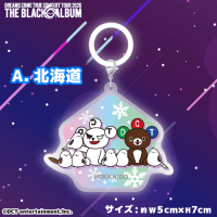 セガUFO限定＞DREAMS COME TRUE ドリカム CONCERT TOUR 2026 めじるし