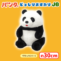 くったりパンダどっしりおすわりJB | オンラインクレーンゲーム「セガ