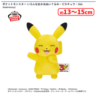 ポケットモンスター いろんなおかおぬいぐるみ〜ピカチュウ〜30th