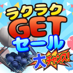 オンラインクレーンゲーム「セガUFOキャッチャーオンライン」