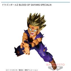 【アウトレット】ドラゴンボールZ BLOOD OF SAIYANS-SPECIALXI-