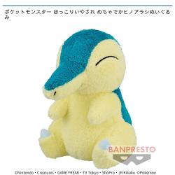 ポケットモンスター ほっこりいやされ めちゃでかヒノアラシぬいぐるみ