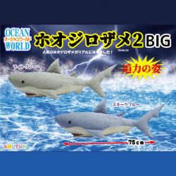 オーシャンワールドホオジロザメ2BIG