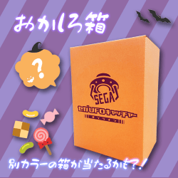 提供済みの景品情報 | オンラインクレーンゲーム「セガUFO