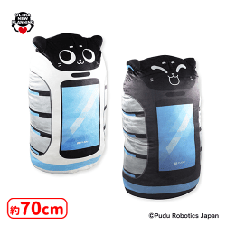 提供済みの景品情報 | オンラインクレーンゲーム「セガUFOキャッチャー