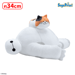 提供済みの景品情報 | オンラインクレーンゲーム「セガUFOキャッチャー