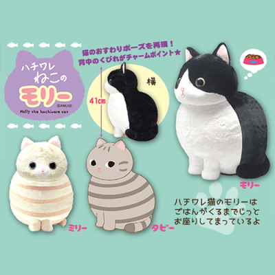 ハチワレねこのモリーBIG | オンラインクレーンゲーム「セガUFO