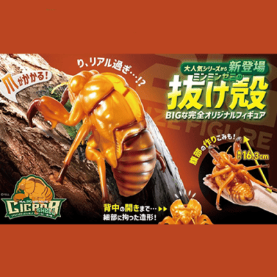 超リアル BIG サイズ フィギュア スズメバチ セミ ミンミンゼミ 抜け殻 リアルBIGサイズフィギュア ミンミンゼミ 抜け殻 | オンラインクレーン