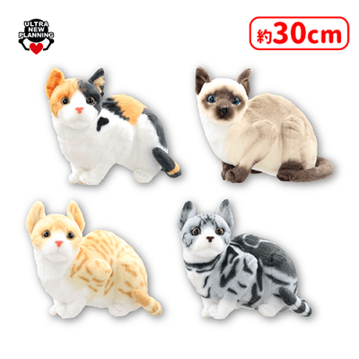 クレーンゲーム♡猫ちゃん なんだニャ？猫ちゃんぬいぐるみ | オンラインクレーンゲーム「セガUFO