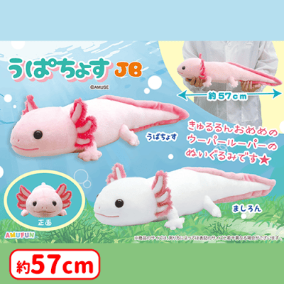 ウーパールーパーぬいぐるみ うぱちょすJB | オンラインクレーンゲーム「セガUFOキャッチャー
