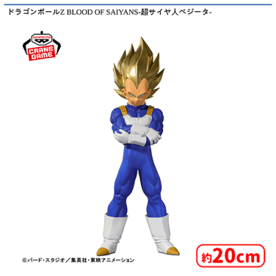 ドラゴンボールZ BLOOD OF SAIYANS-超サイヤ人ベジータ- | オンライン